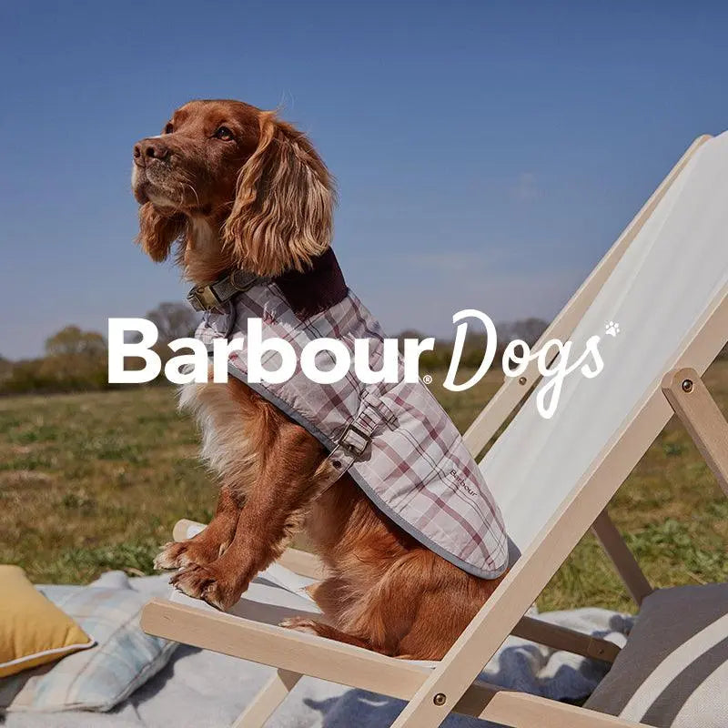 BARBOUR DOGS