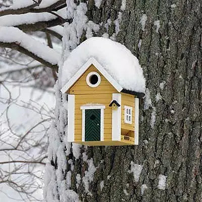 CABANE OISEAU - JAUNE WILDLIFE GARDEN -  Klubb