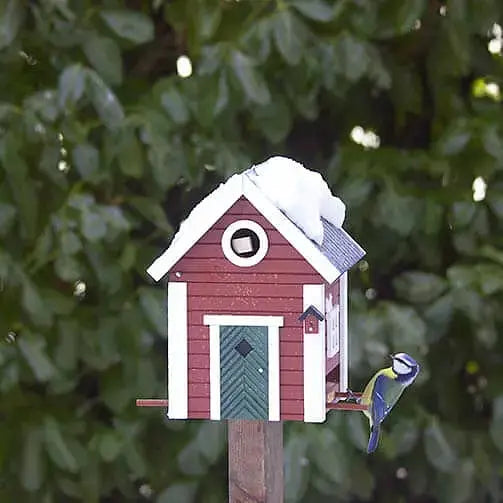 CABANE OISEAU - ROUGE WILDLIFE GARDEN -  Klubb