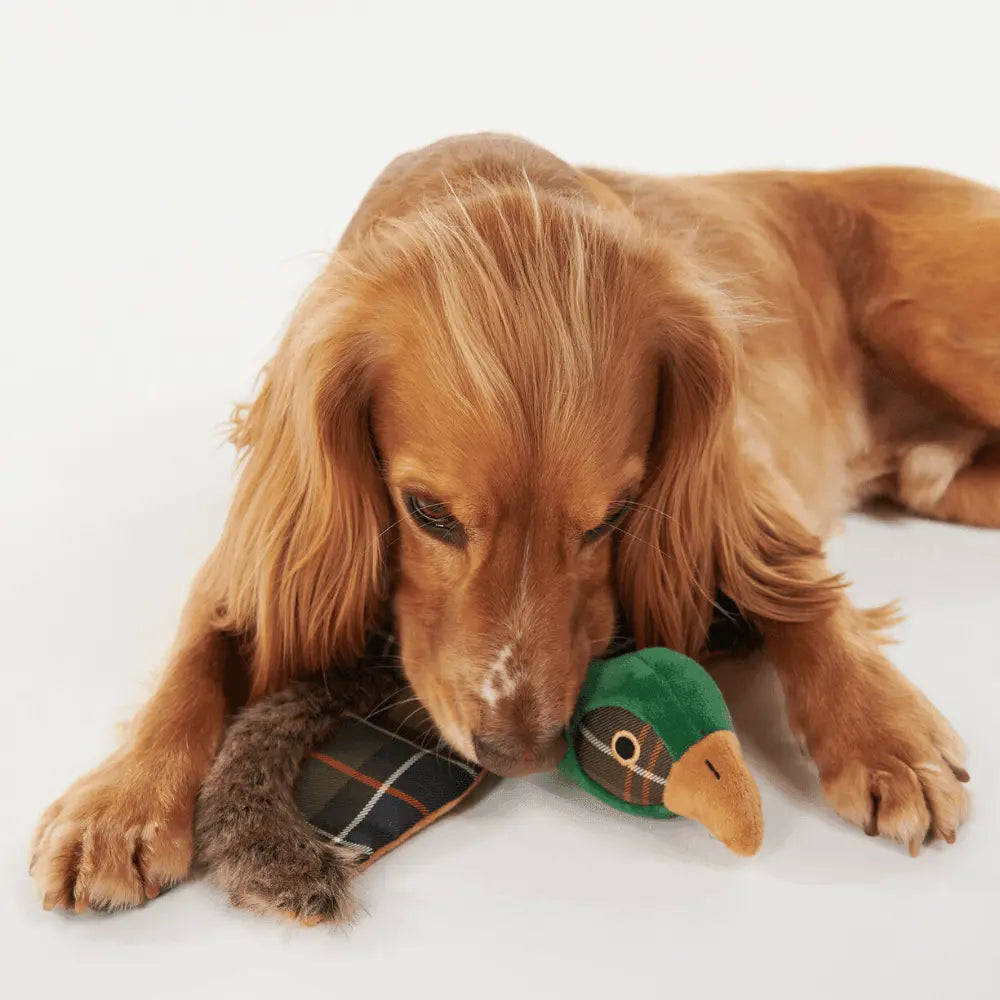 HEDGEHOG TOY