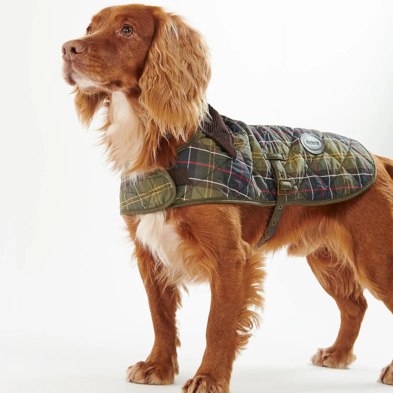 MANTEAU MATELASSÉ TARTAN POUR CHIEN BARBOUR DOGS -  Klubb