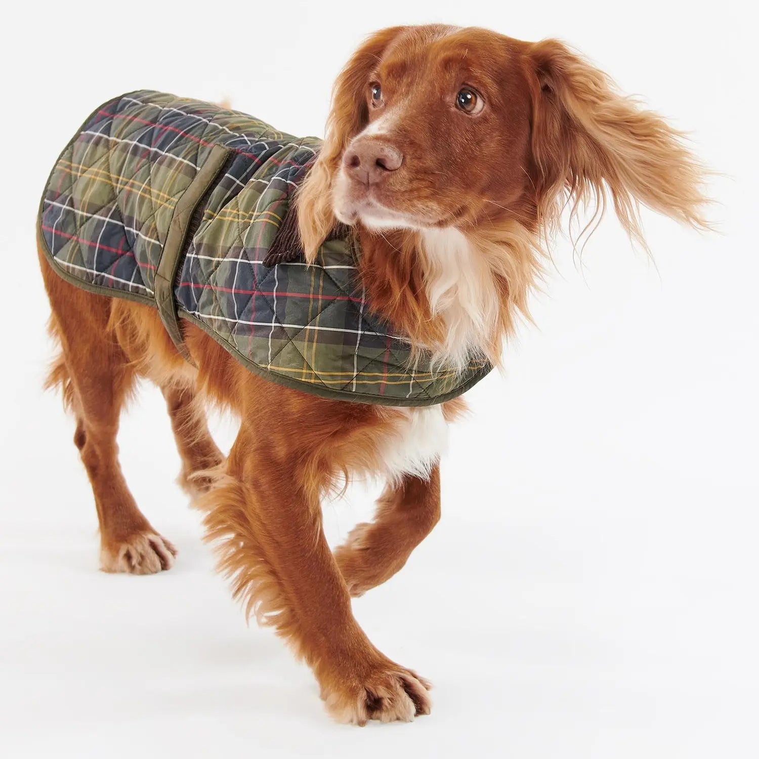 MANTEAU MATELASSÉ TARTAN POUR CHIEN BARBOUR DOGS -  Klubb