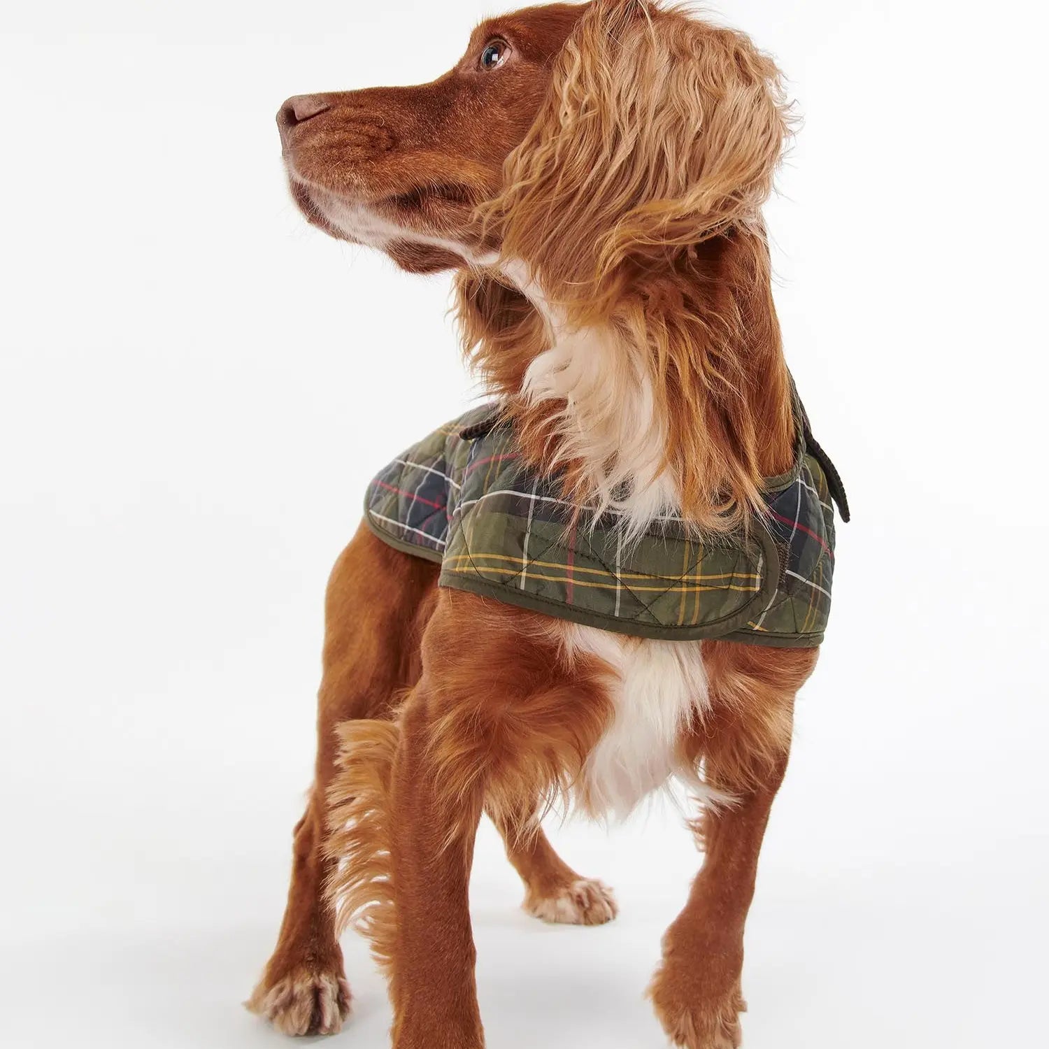 MANTEAU MATELASSÉ TARTAN POUR CHIEN BARBOUR DOGS -  Klubb