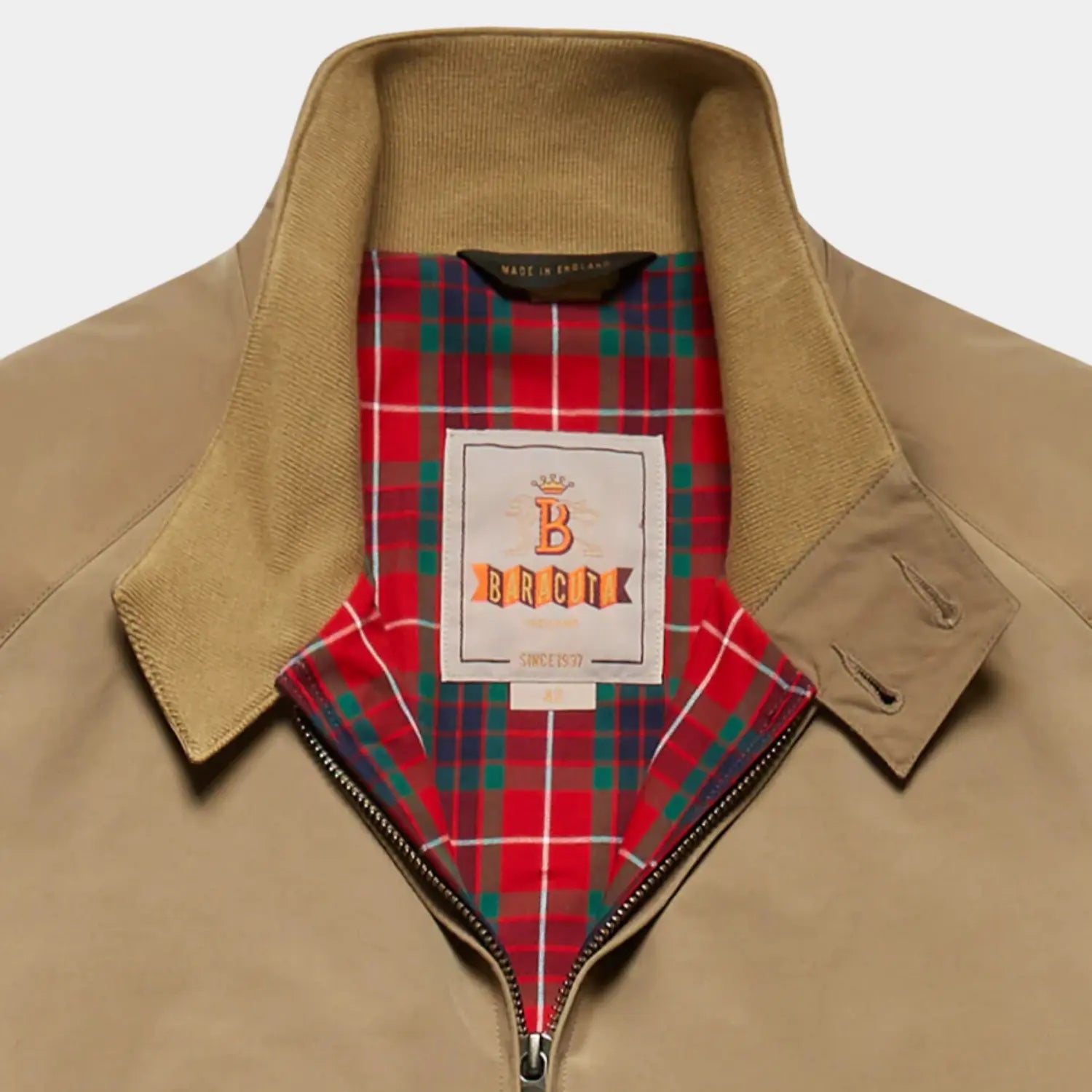 VESTE G9 TAN BARACUTA -  Klubb