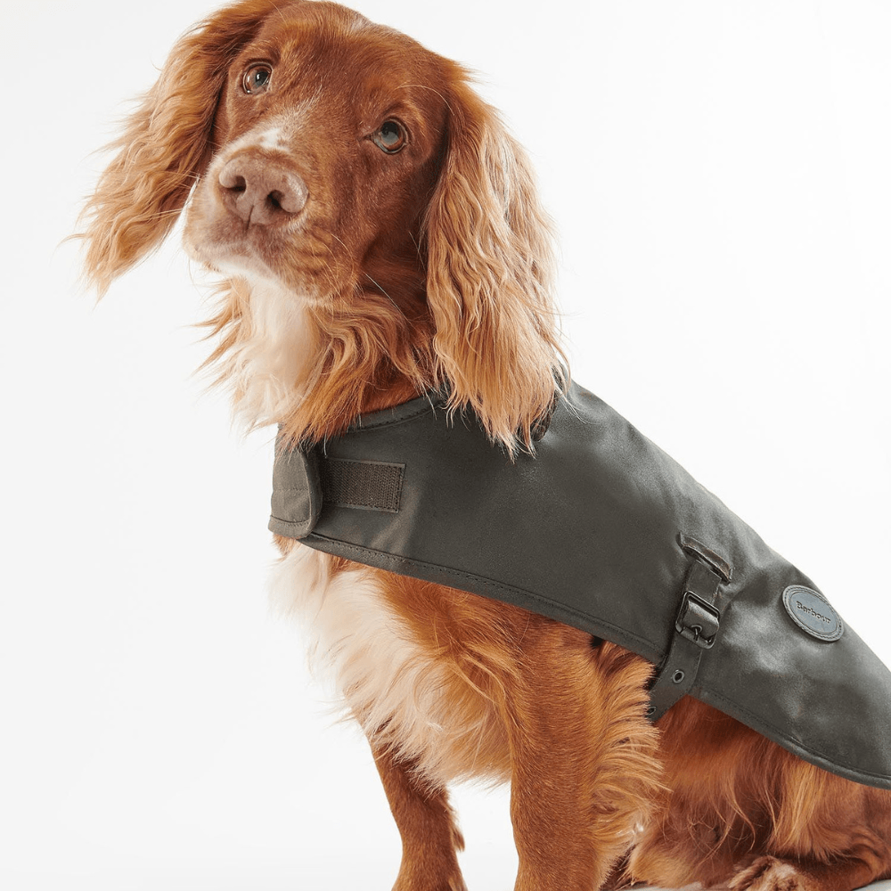 MANTEAU CIRÉ POUR CHIEN BARBOUR DOGS -  Klubb