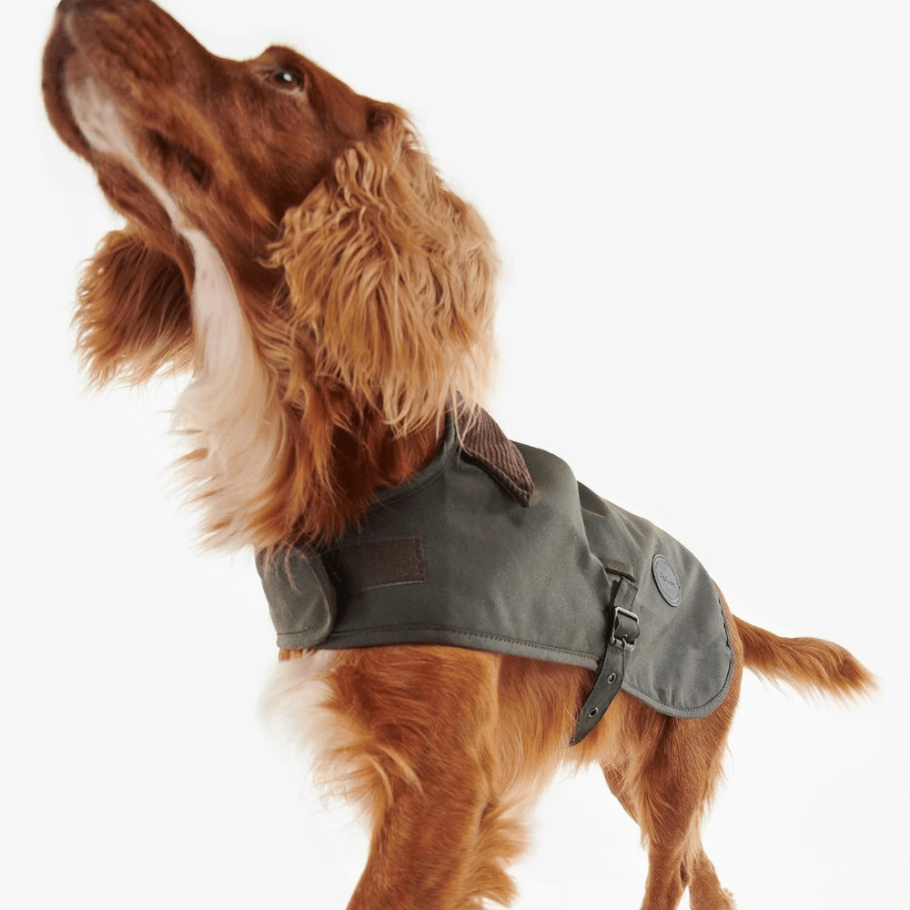 MANTEAU CIRÉ POUR CHIEN