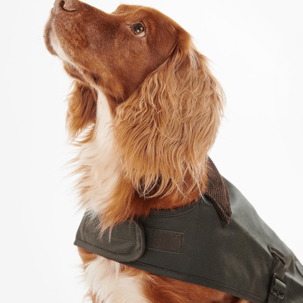 MANTEAU CIRÉ POUR CHIEN