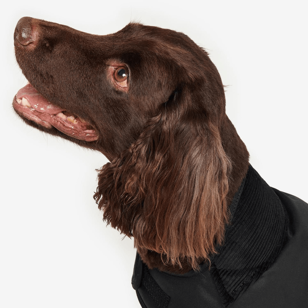 MANTEAU CIRÉ POUR CHIEN BARBOUR DOGS -  Klubb